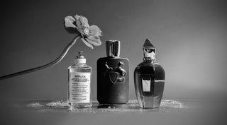 Cómo empezar tu colección de perfumes: Las 5 fragancias claves