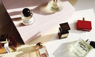 Perfumes de nicho versus de diseñador