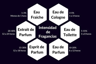 Conocimientos básicos de los perfumes: Concentraciones de perfumes - Parfumerie d'Aquitaine
