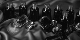 Ingredientes y Notas: No Todo lo que Brilla es Oro