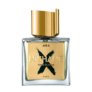 Ani X