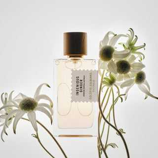 Goldfield & Banks - Ingenious Ginger - Parfumerie d'Aquitaine