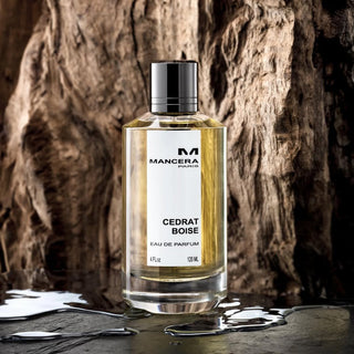Mancera - Cedrat Boise - Parfumerie d'Aquitaine