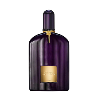 Velvet Orchid