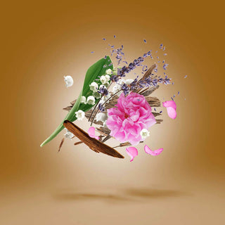 Xerjoff - Alexandria II - Parfumerie d'Aquitaine