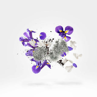 Xerjoff - Apollonia - Parfumerie d'Aquitaine