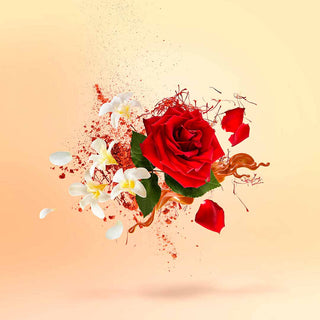 Xerjoff - La Capitale - Parfumerie d'Aquitaine