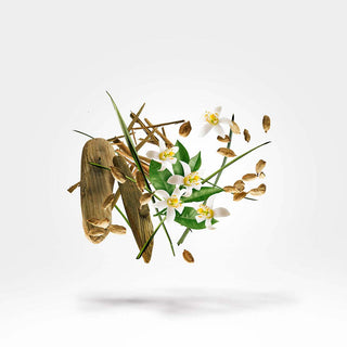 Xerjoff - Nio - Parfumerie d'Aquitaine