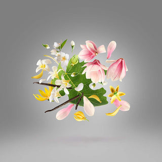 Xerjoff - Ouverture - Parfumerie d'Aquitaine