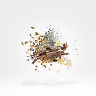 Xerjoff - Symphonium - Parfumerie d'Aquitaine