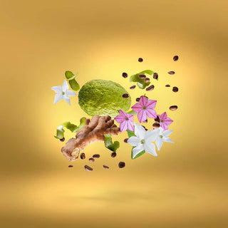 Xerjoff - Uden Overdose - Parfumerie d'Aquitaine