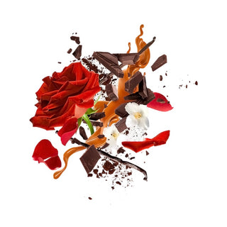 Xerjoff - Via Cavour 1 - Parfumerie d'Aquitaine