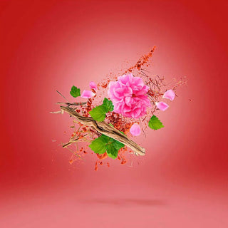 Xerjoff - Wardasina - Parfumerie d'Aquitaine